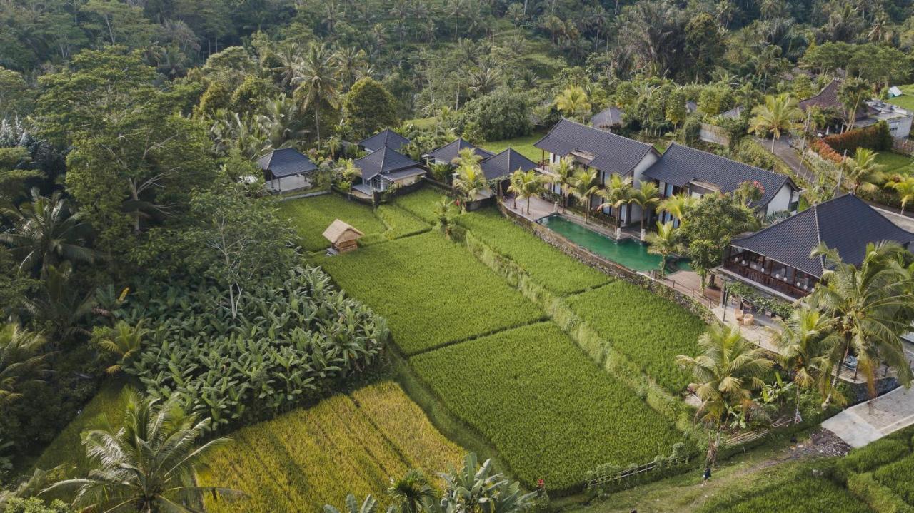 Pinggala Villa Ubud Gianyar  Bagian luar foto